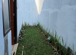 Pattern 4 (8)